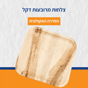  10 �� ����� ������� ��� 